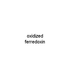 oxidized ferredoxin